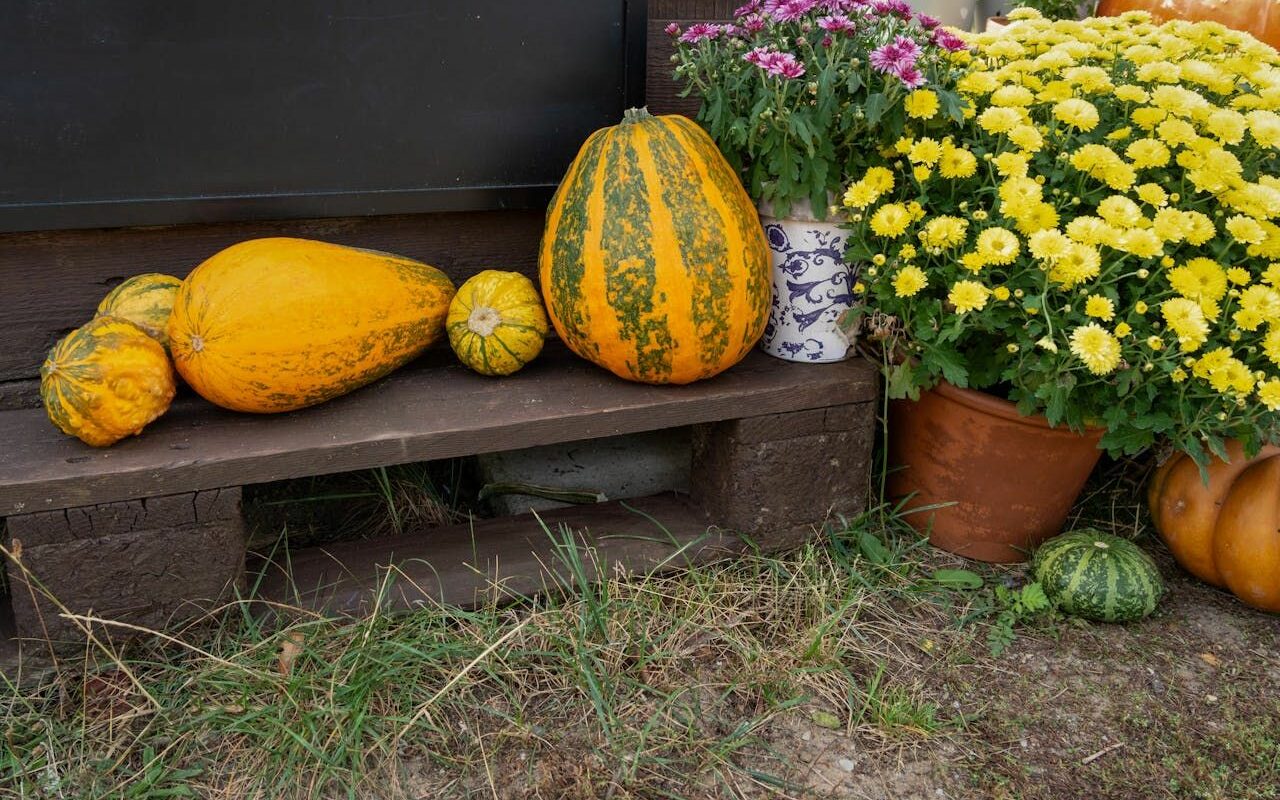 Herbstblumen und Kürbis im eigenen Garten